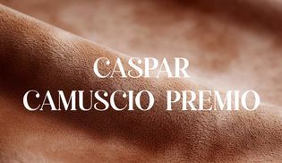 CASPAR CAMUSCIO PREMIO