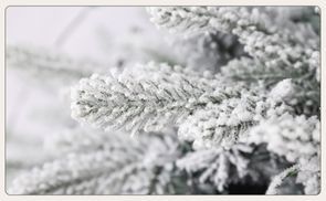 Fortschrittliche Schneefixierungstechnologie