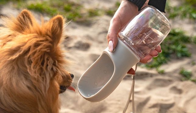 lionto Wasserflasche für unterwegs, auslaufsichere Trinkflasche
