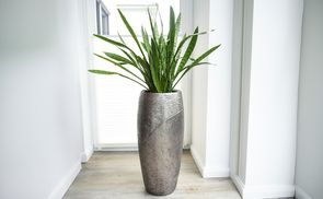 Einzigartiges Design