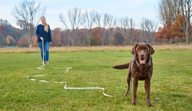 Perfekte Schleppleine für Training & Spaziergänge