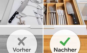 VIELE FÄCHER