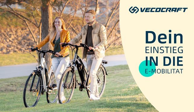 Athena Elektrofahrrad