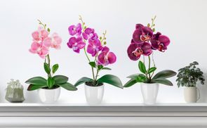 Künstliche Orchidee lila rosé