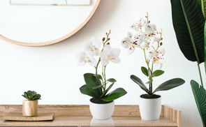 Deko Orchidee weiß künstlich mit Keramiktopf,