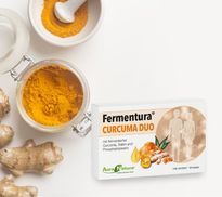 Curcuma – Teils fermentiert für wertvolle Inhaltsstoffe