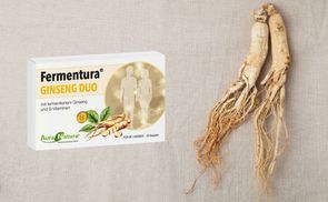 Einzigartige Kombination – drei Ginseng Sorten