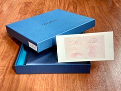 Еко-товарe und stilvolle Verpackung für Seidenkissenbezüge