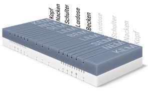 Ergonomische Module für optimale Körperunterstützung
