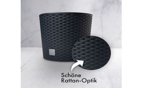 Edle Rattan Optik