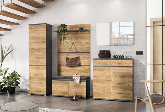 Ästhetik, Qualität und Organisation in einem - Garderobe Lausanne in 2 verschiedenen Кольора(ів)