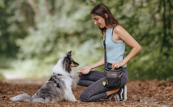 Всіs dabei, immer griffbereit Leckerlitasche für Training & Spaziergang