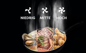3 LEISTUNGSSTUFEN