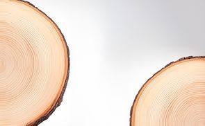 Hochwertiges skandinavisches Holz