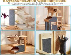 DIY Schneiden