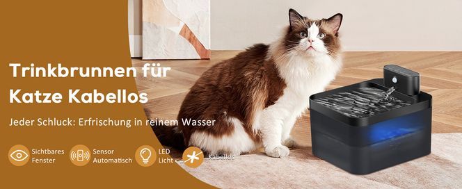 Trinkbrunnen für Katze Kabellos