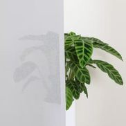 Feine Transparenz für dein Zuhause