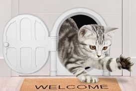 Haustiertür für katzen