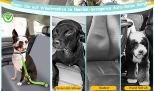 Verstellbare Kopfstützengurte